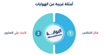 الهوايات والأنشطة الترفيهية