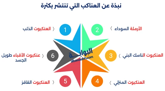 تكتشف في هذا المقال معلومات عن العنكبوت، وحقائق عن العنكبوت، بالإضافة إلى معلومات غريبة عن العنكبوت وحياة عنكبوت