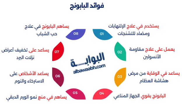 فوائد البابونج