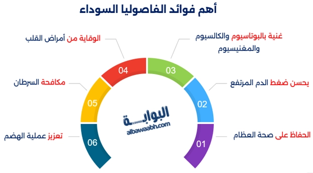 فوائد الفاصوليا السوداء	