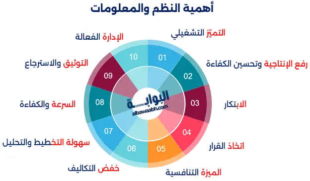 أنواع نظم المعلومات