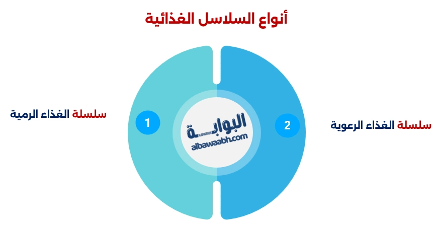 صورة توضح ماهي السلسلة الغذائية؟ وتشمل سلسلة غذائية للحيوانات، وتُبرز أنواع السلاسل الغذائية، وتُبين كيف تتكون السلسلة الغذائية من ثلاث مكونات، إلى جانب تمثيل هرم السلسلة الغذائية.