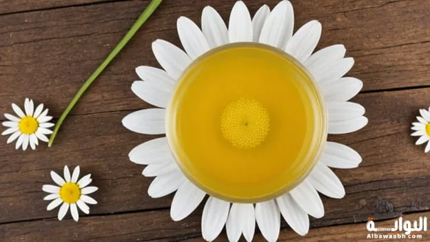 فوائد شرب البابونج على الريق يوميًا؟