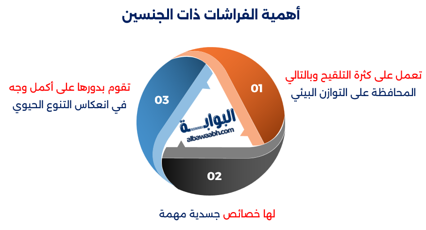 اكتشف ماهو إسم ذكر الفراشة؟ وتعرف على اسم ذكر الفراشة بالفرنسية. اقرأ عن اسم صغير الفراشة وكيفية تمييز الفرق بين الفراشة الذكر والأنثى عبر خصائصهما الجسمانية والسلوكية.