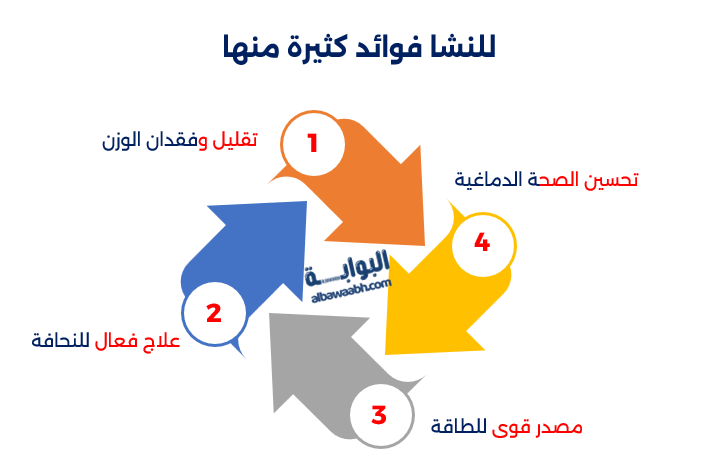 ماهو النشا وما فوائده؟