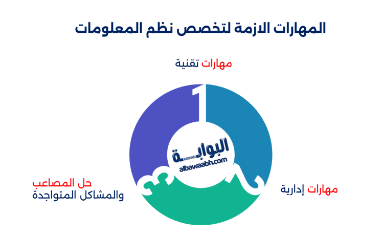 تخصص نظم المعلومات: تخصص نظم المعلومات والبرمجة.
