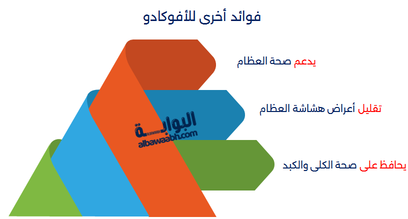 فوائد الأفوكادو