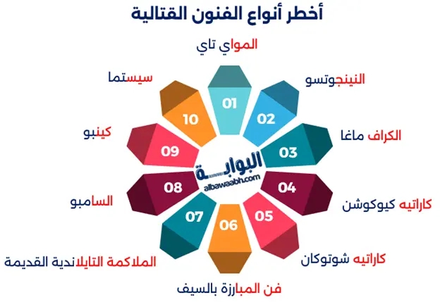 الفنون القتالية