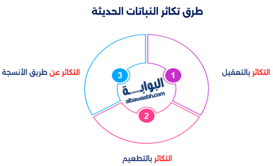 إنفوجرافيك يوضح طرق تكاثر النياتات الحديثة