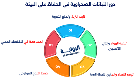 إنفوجرافيك يوضح دور النباتات الصحراوية في الحفاظ علي البيئة