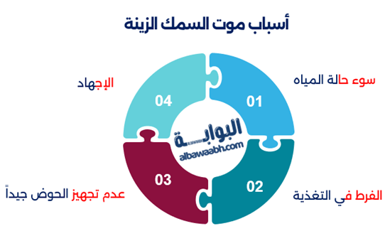 حماية سمك الزينة