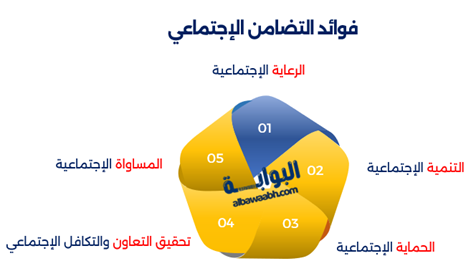 التضامن الاجتماعي