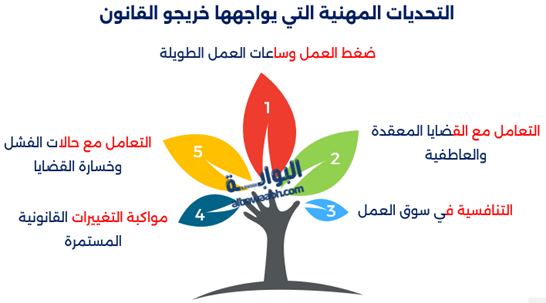 تخصص القانون