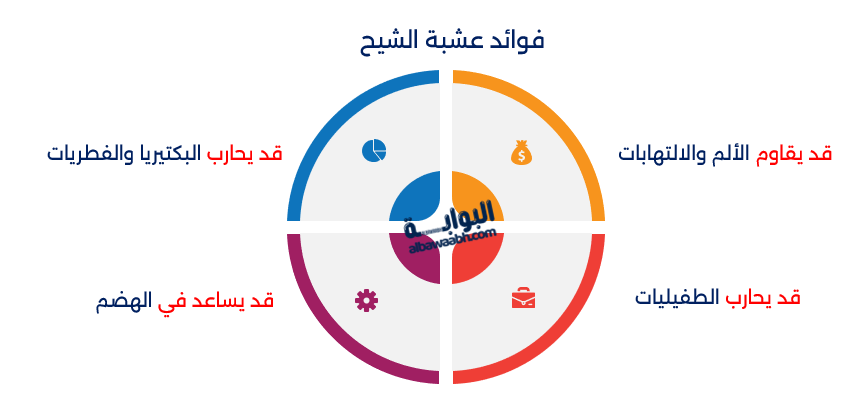 فوائد عشبة الشيح 