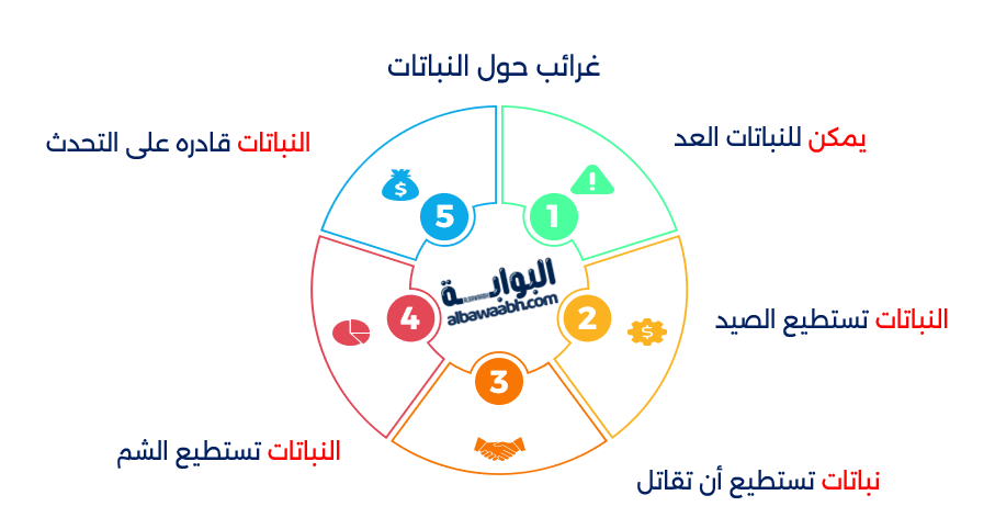 غرائب حول النباتات