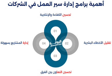 كيفية إستخدام برامج لتحسين سير العمل في الشركات