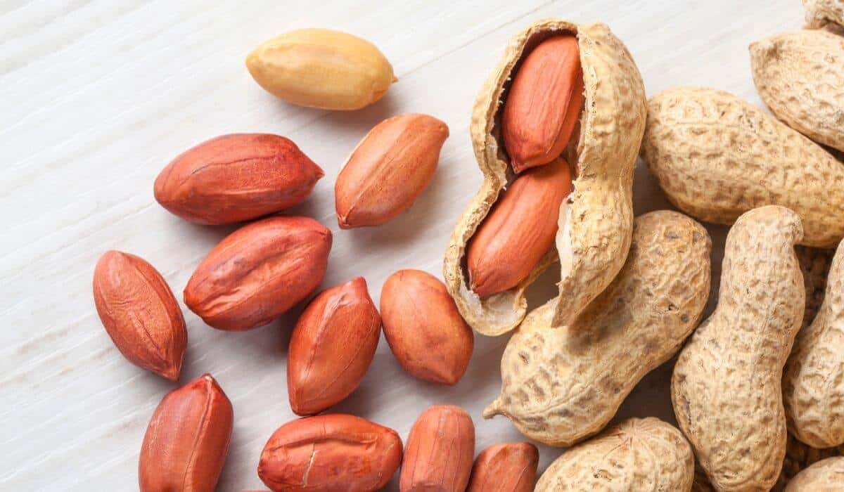 الفول السوداني