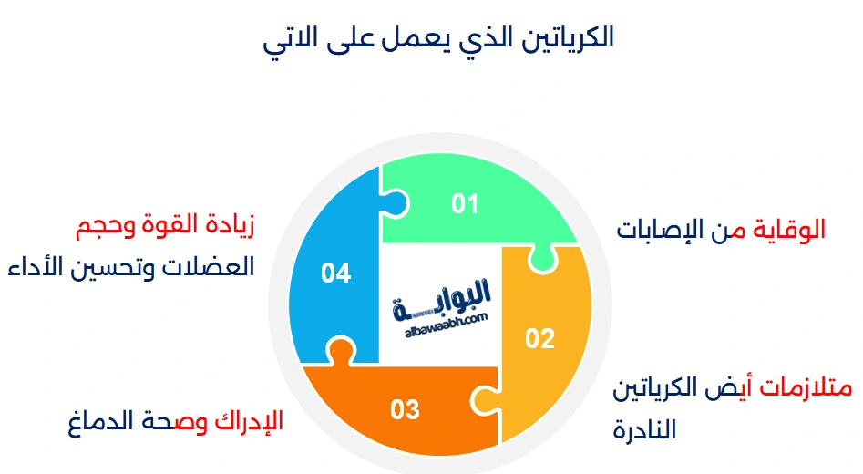 الكرياتين الذي يعمل على الأتي: