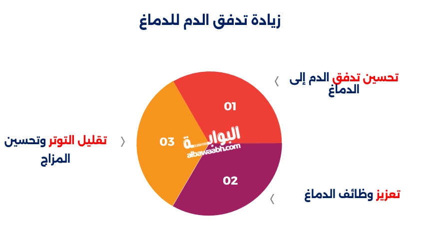 زيادة تدفق الدم للدماغ