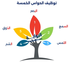 الكتابة الوصفية
