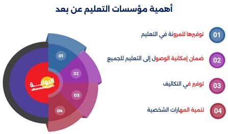 جامعات عن بعد 