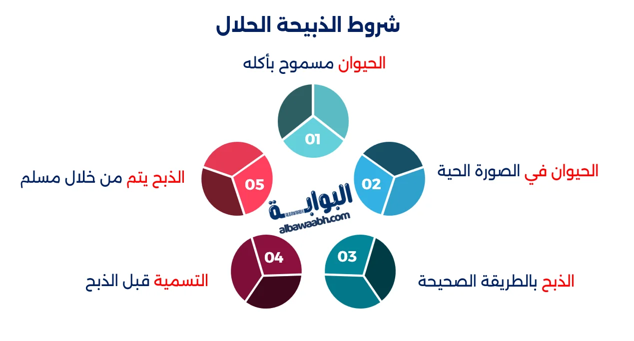 كيفية الذبح الإسلامي: شروط الحلال وضوابط الذبيحة