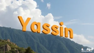 اسم ياسين
