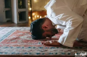 سجود التلاوة: عدد مواضعه وفضيلته