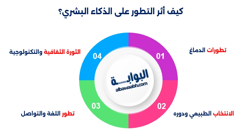 كيف أثر التطور على الذكاء البشري؟