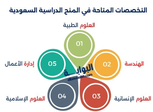 التخصصات المتاحة في المنح الدراسية السعودية