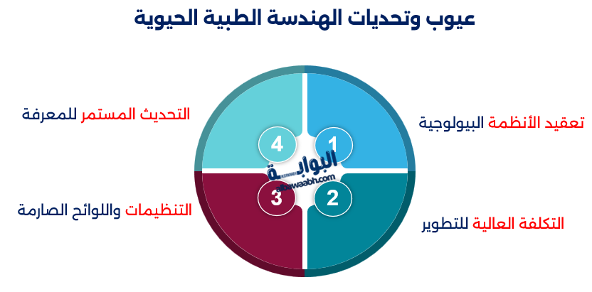 مستقبل الهندسة الطبية الحيوية