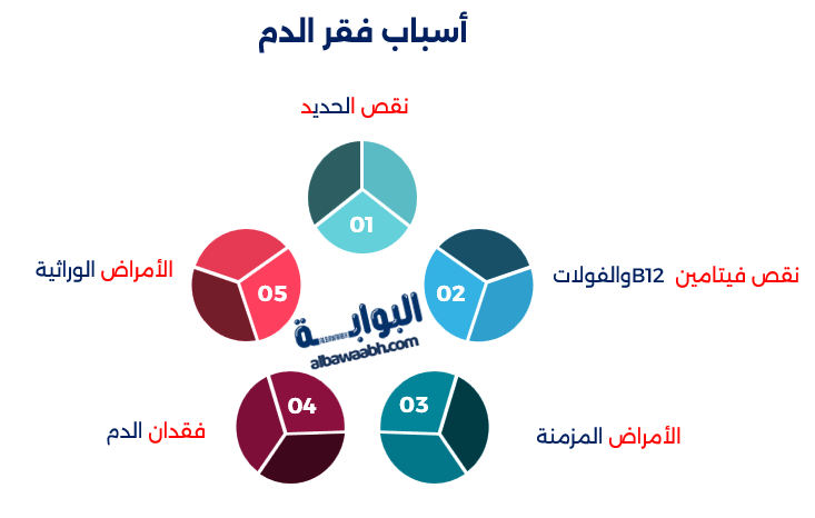 علاج فقر الدم بالغذاء