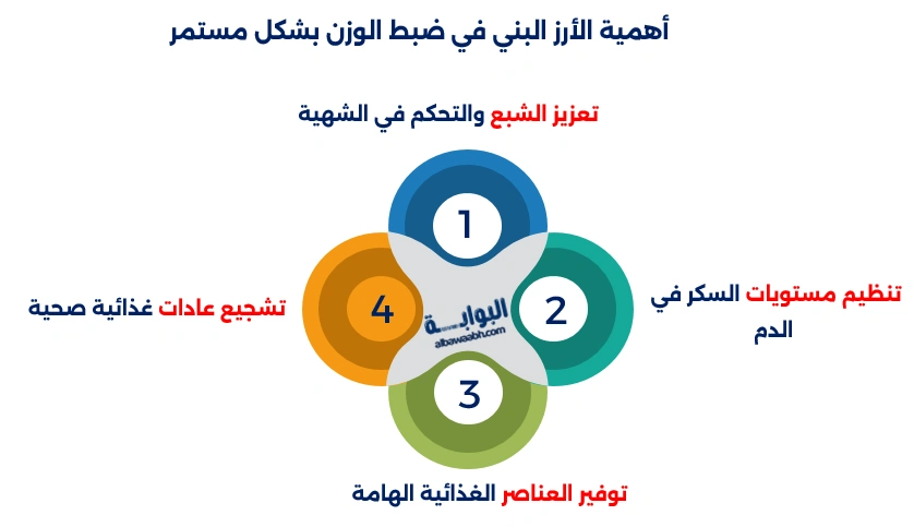 أهمية الأرز البني في ضبط الوزن بشكل مستمر