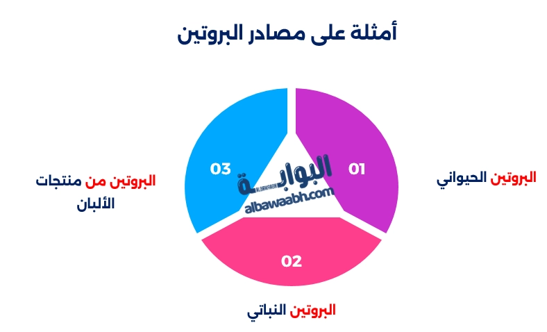 اخطاء يجب تجنبها اثناء جدول وجبات اسبوعي للرجيم
