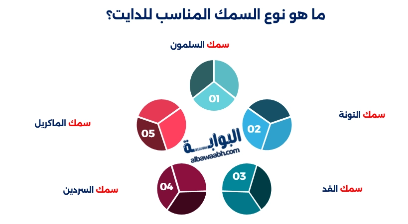 المأكولات البحرية المناسبة للريجيم