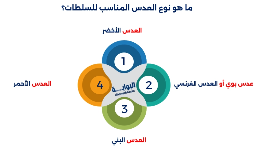 سلطة العدس الباردة