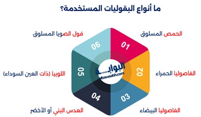 سلطة البقوليات المشكلة