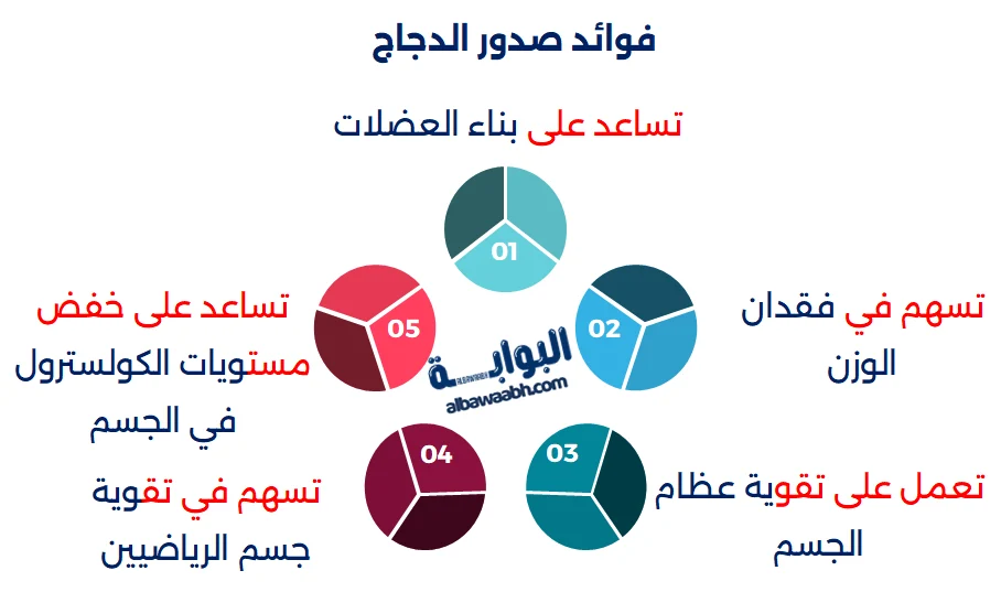 أكلات صحية للرجيم
