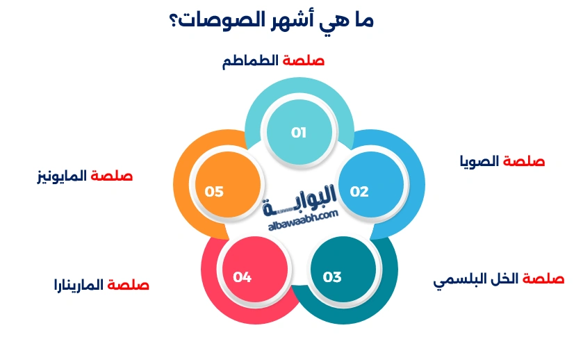 أنواع الصوصات المنزلية