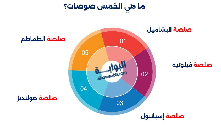 أنواع الصوصات المنزلية