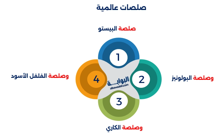 أنواع الصوصات المنزلية