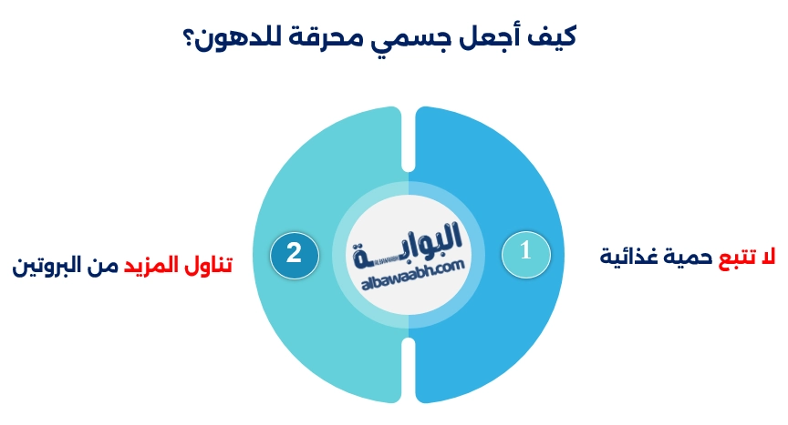 أطعمة تحرق الدهون
