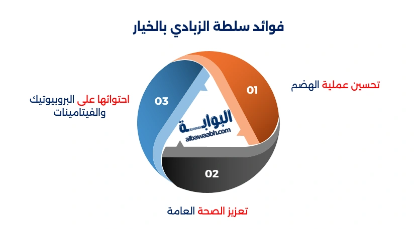 سلطة الزبادي بالخيار