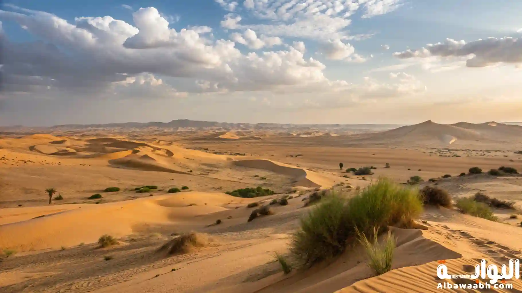 صحراء الربع الخالي