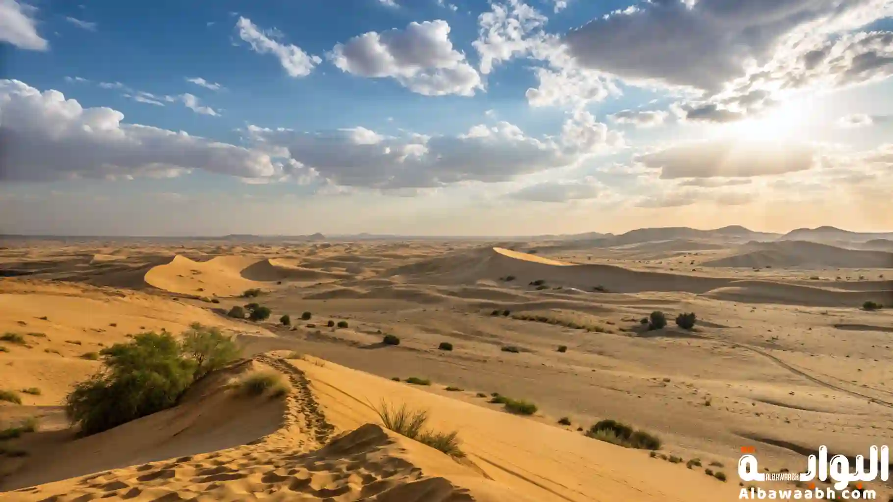 أين توجد صحراء الربع الخالي؟ أكبر صحراء رملية في العالم