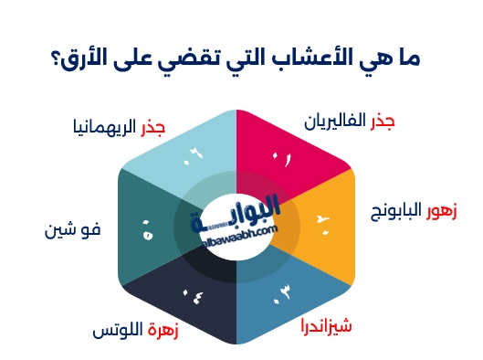 علاج الأرق بالأعشاب الصينية