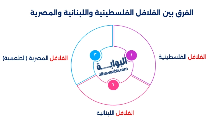 فلافل شامية