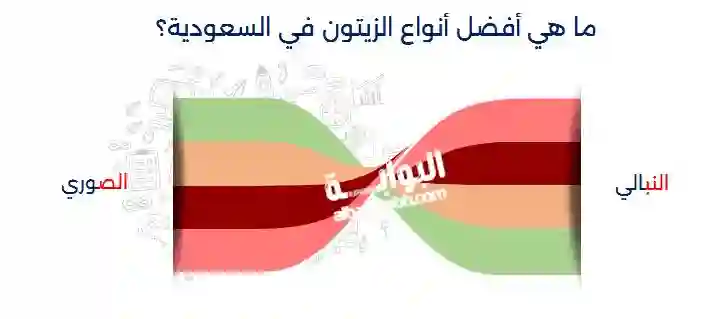 أنواع شجر الزيتون