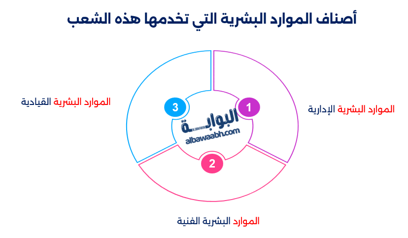 علم الموارد البشرية