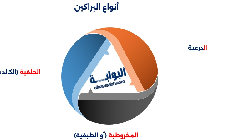 أشهر البراكين في العالم
